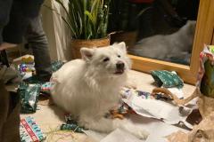 IMG-20221224-WA0023