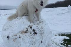 IMG-20230125-WA0000
