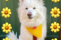 IMG-20230421-WA0001