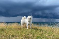 IMG-20230713-WA0007
