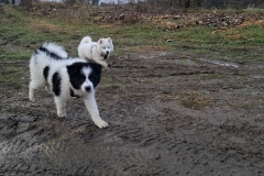 2025-12-18-14.09.27