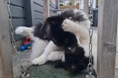 2025-12-19-13.51.20
