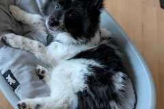 IMG-20251229-WA0005
