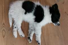 IMG-20220108-WA0013