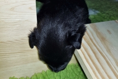 20190128_123757