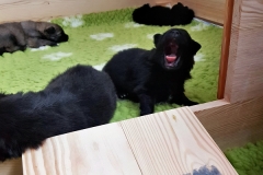 20190128_123939