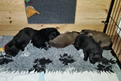 20190129_091524