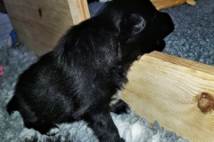 20190129_104559