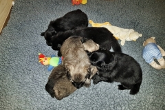 2019-01-31 08.43.48