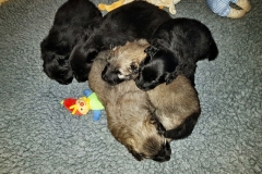 2019-01-31 08.45.09