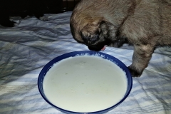 20190204_214046