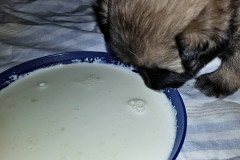 20190204_214126