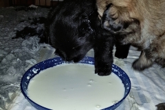 20190204_215040