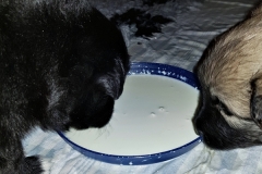 20190204_215113