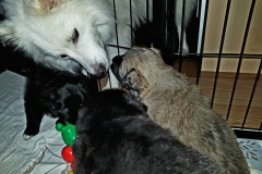 20190207_125241