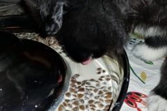 20190210_210744