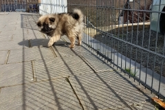 20190320_105702