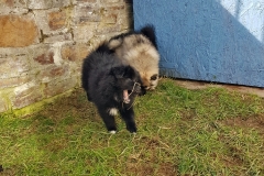 20190320_110104
