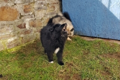 20190320_110105
