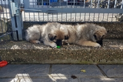 20190320_110228