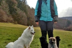 IMG-20190318-WA0019