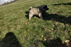 IMG-20190318-WA0025