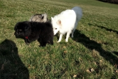 IMG-20190318-WA0030