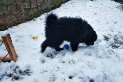 2019-03-11 06.57.15
