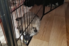 20190308_191042