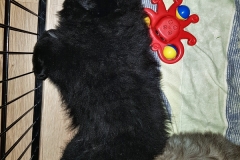 20190309_212548
