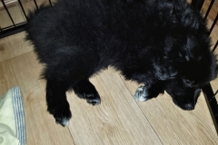 20190309_212610
