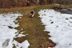20190312_120309(0)