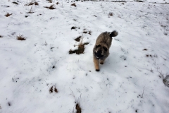 20190312_120551