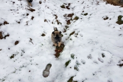 20190312_120622
