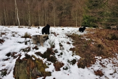 20190312_120935