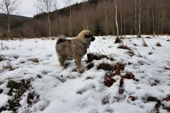 20190312_120945