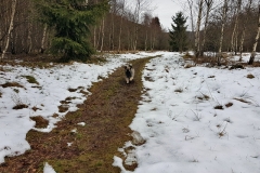 20190312_121235
