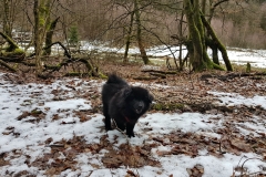20190312_123038